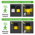 Luz Solar IntelliSense